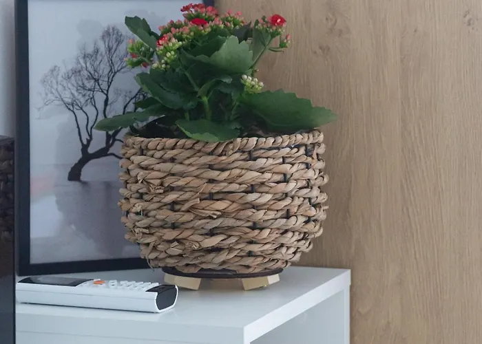 Διαμέρισμα Kalina With Free Private Parking *